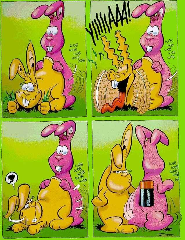 Zur&uuml;ck zu 'Allerlei'