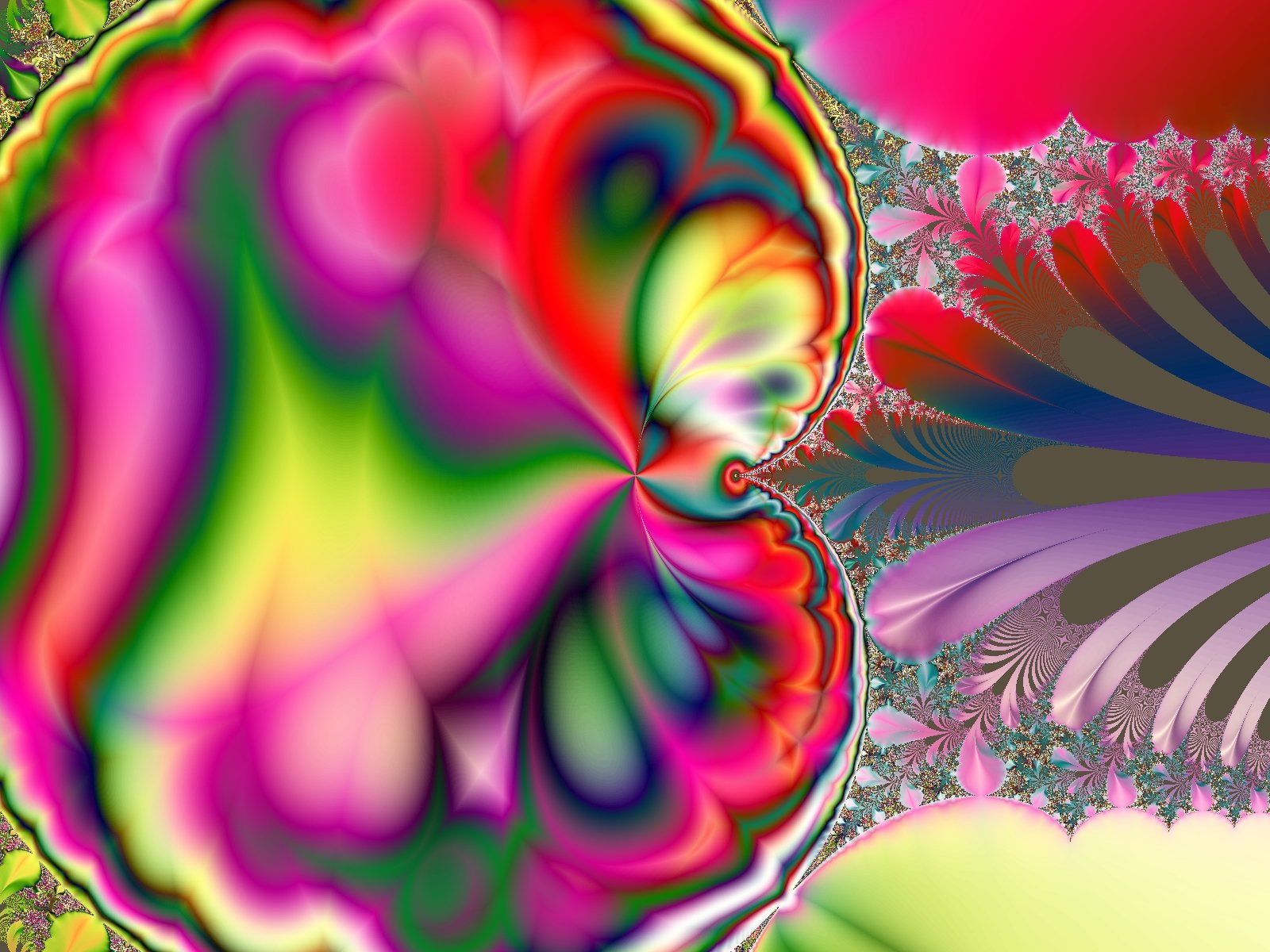 Mit einem Klick auf das Fraktal-Bild wird die Seite wieder geschlossen!