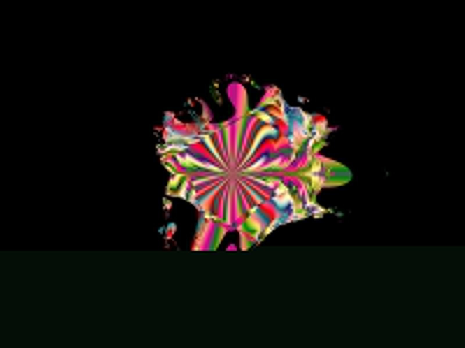 Mit einem Klick auf das Fraktal-Bild wird die Seite wieder geschlossen!