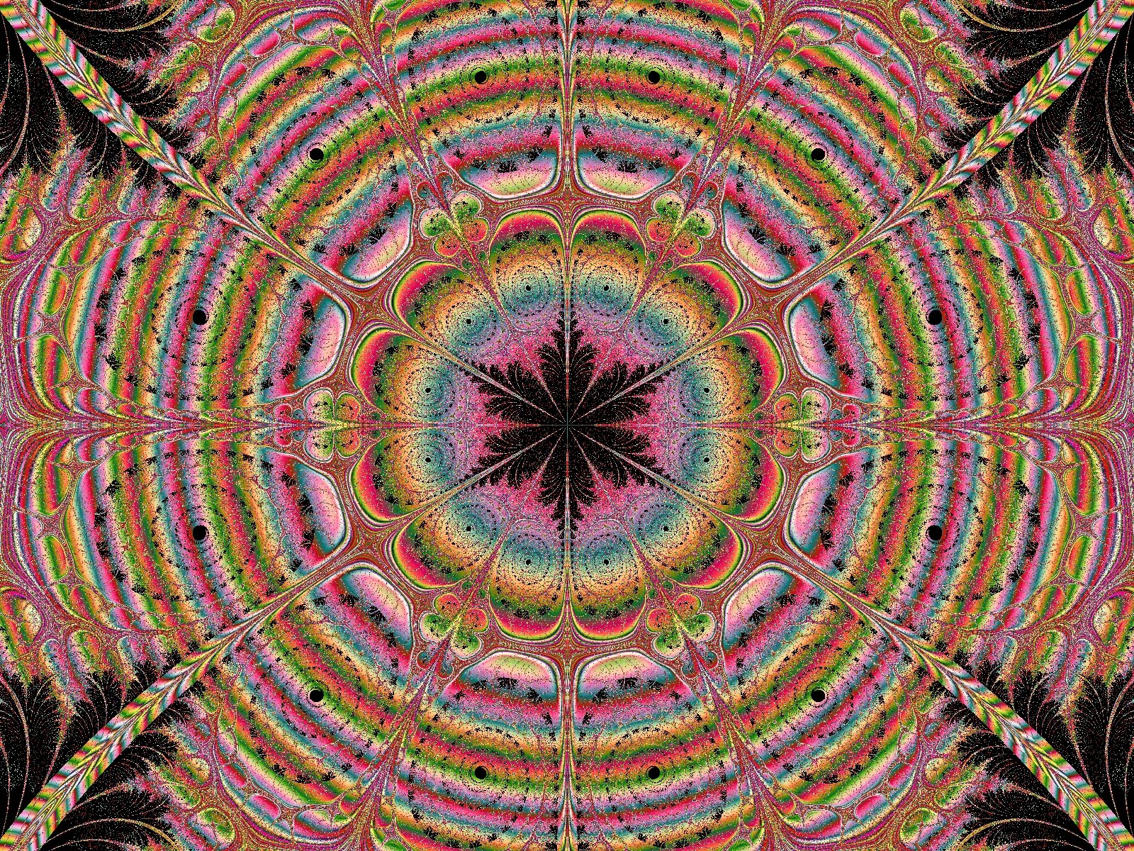 Mit einem Klick auf das Fraktal-Bild wird die Seite wieder geschlossen!