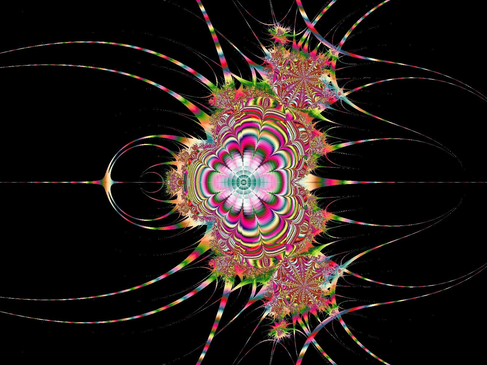 Mit einem Klick auf das Fraktal-Bild wird die Seite wieder geschlossen!