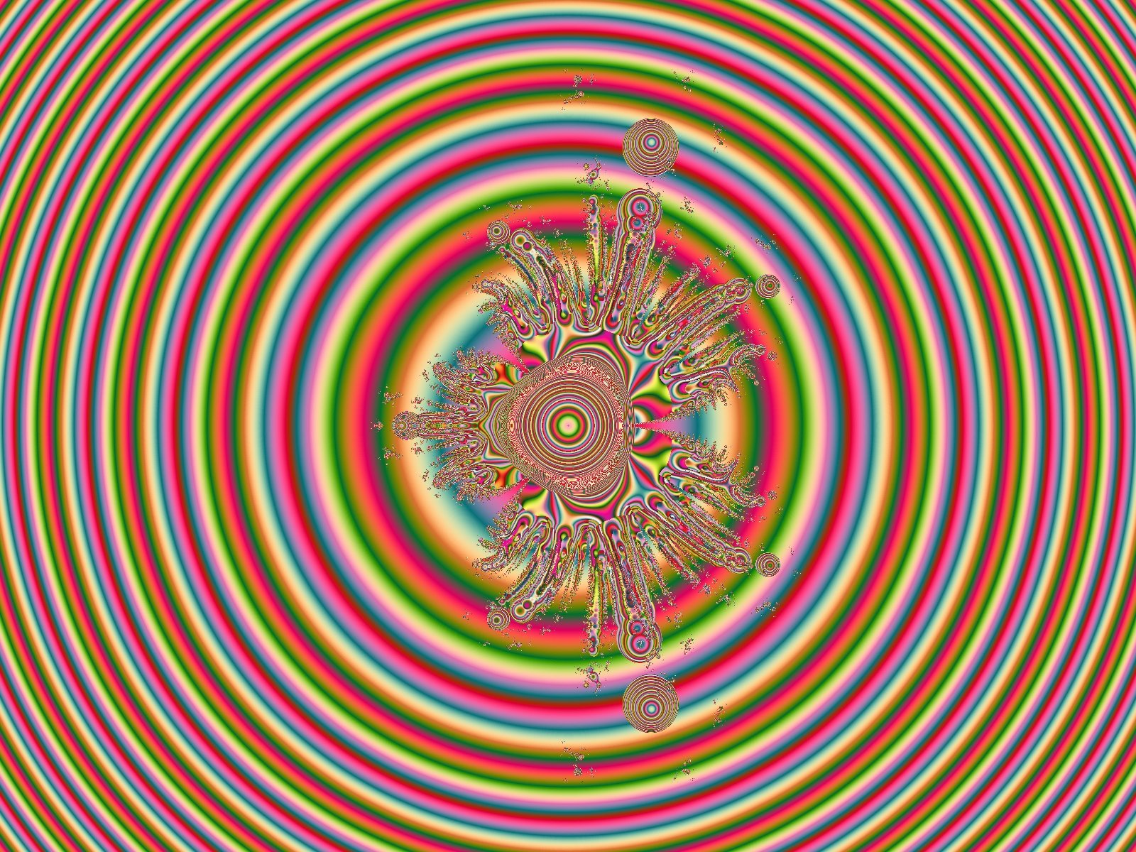 Mit einem Klick auf das Fraktal-Bild wird die Seite wieder geschlossen!