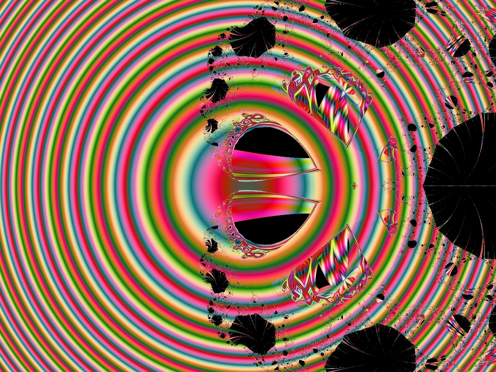 Mit einem Klick auf das Fraktal-Bild wird die Seite wieder geschlossen!