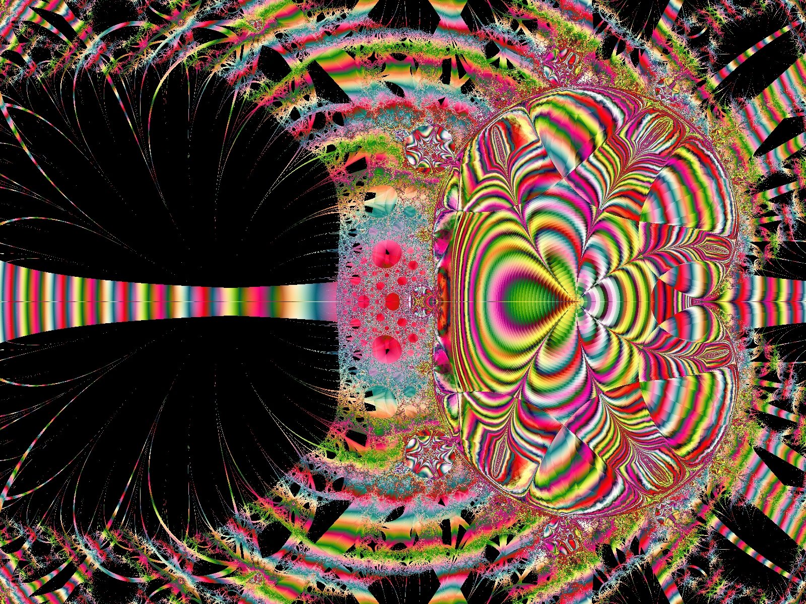 Mit einem Klick auf das Fraktal-Bild wird die Seite wieder geschlossen!