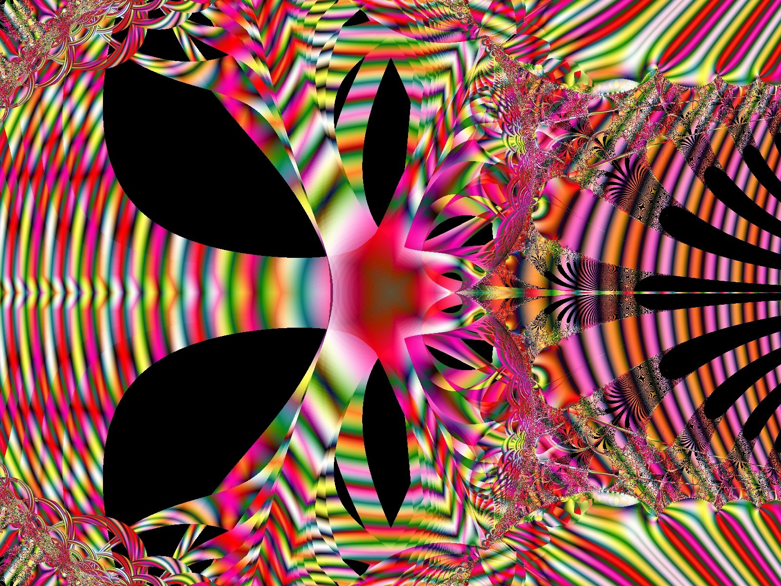 Mit einem Klick auf das Fraktal-Bild wird die Seite wieder geschlossen!