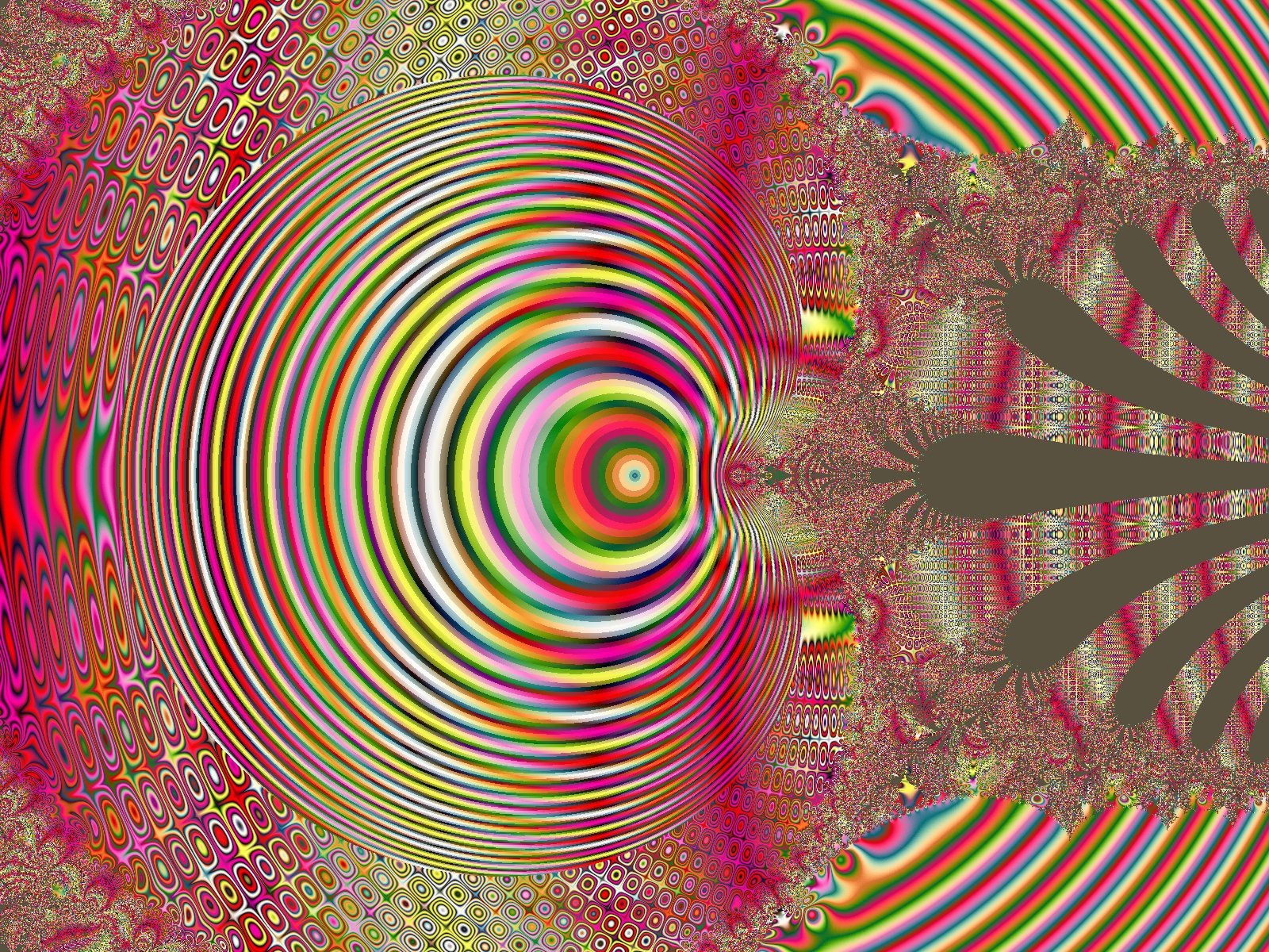 Mit einem Klick auf das Fraktal-Bild wird die Seite wieder geschlossen!