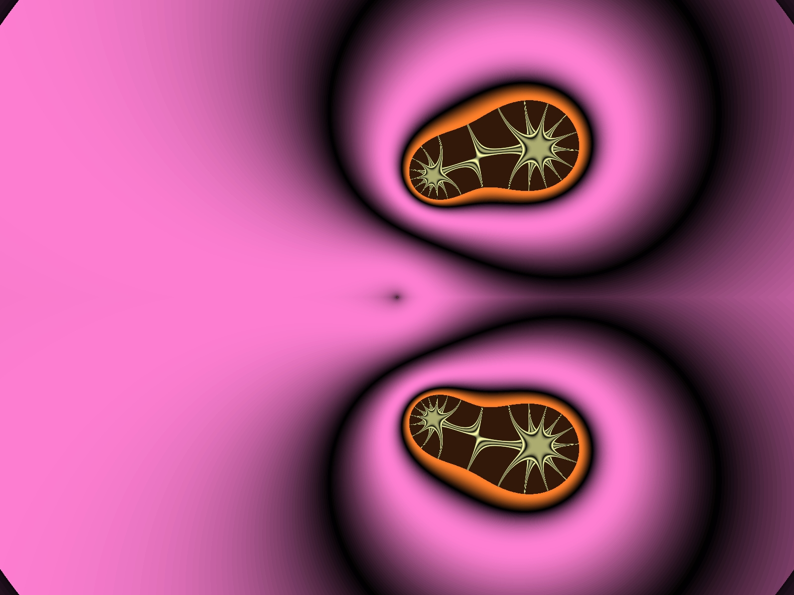 Mit einem Klick auf das Fraktal-Bild wird die Seite wieder geschlossen!