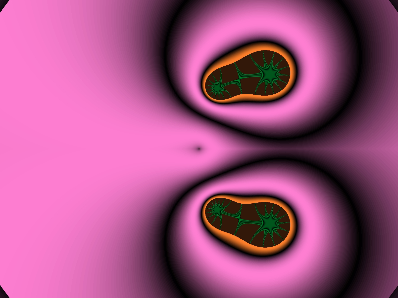Mit einem Klick auf das Fraktal-Bild wird die Seite wieder geschlossen!