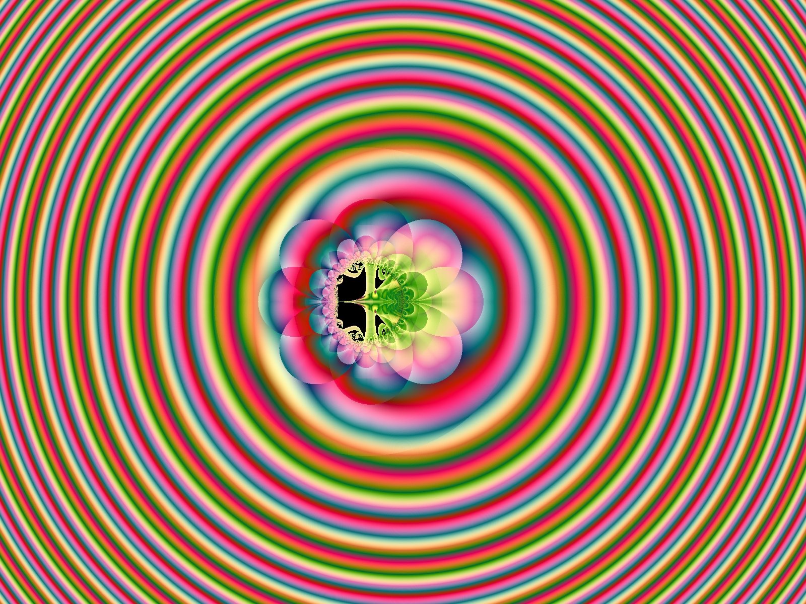 Mit einem Klick auf das Fraktal-Bild wird die Seite wieder geschlossen!