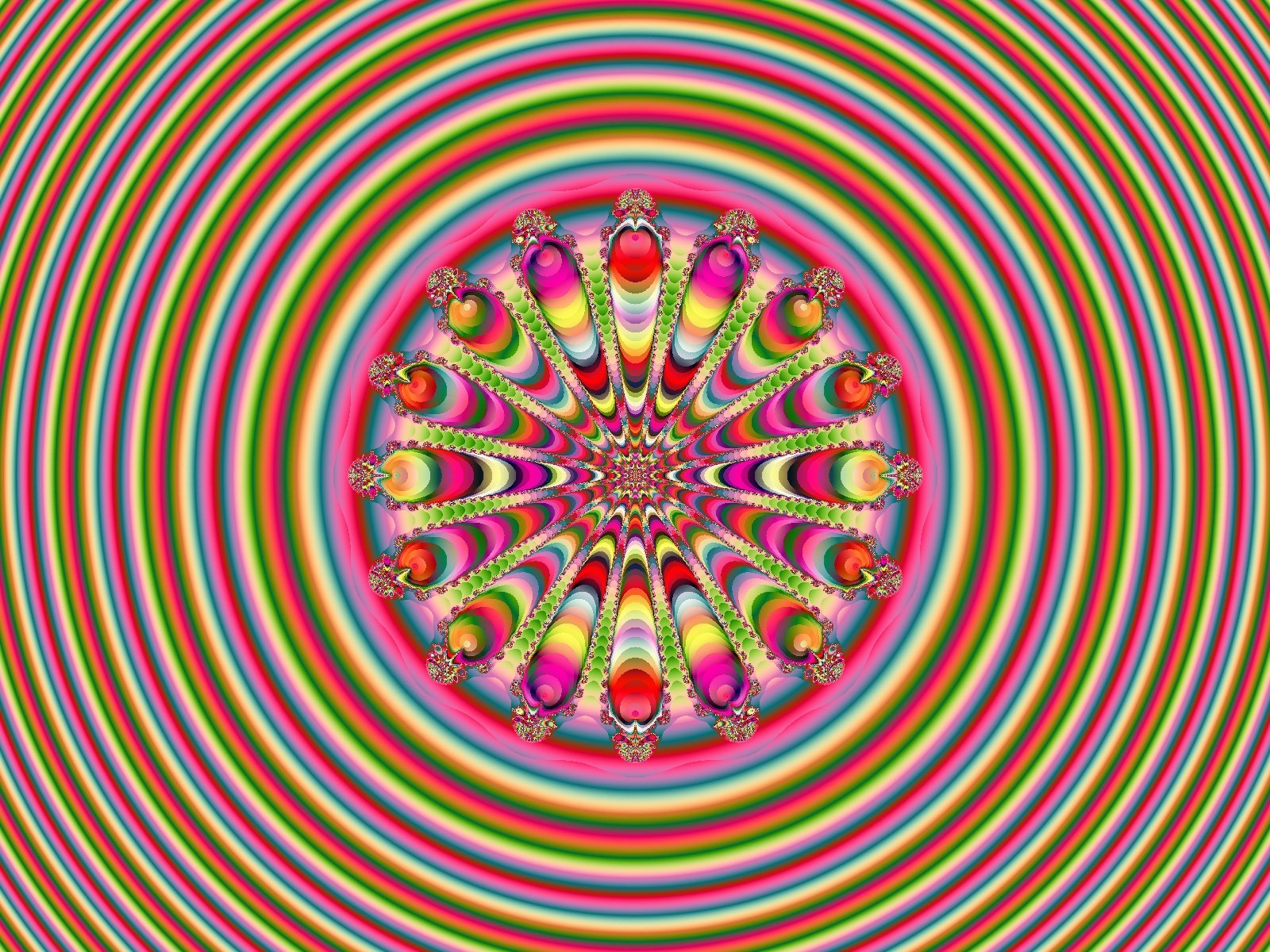 Mit einem Klick auf das Fraktal-Bild wird die Seite wieder geschlossen!