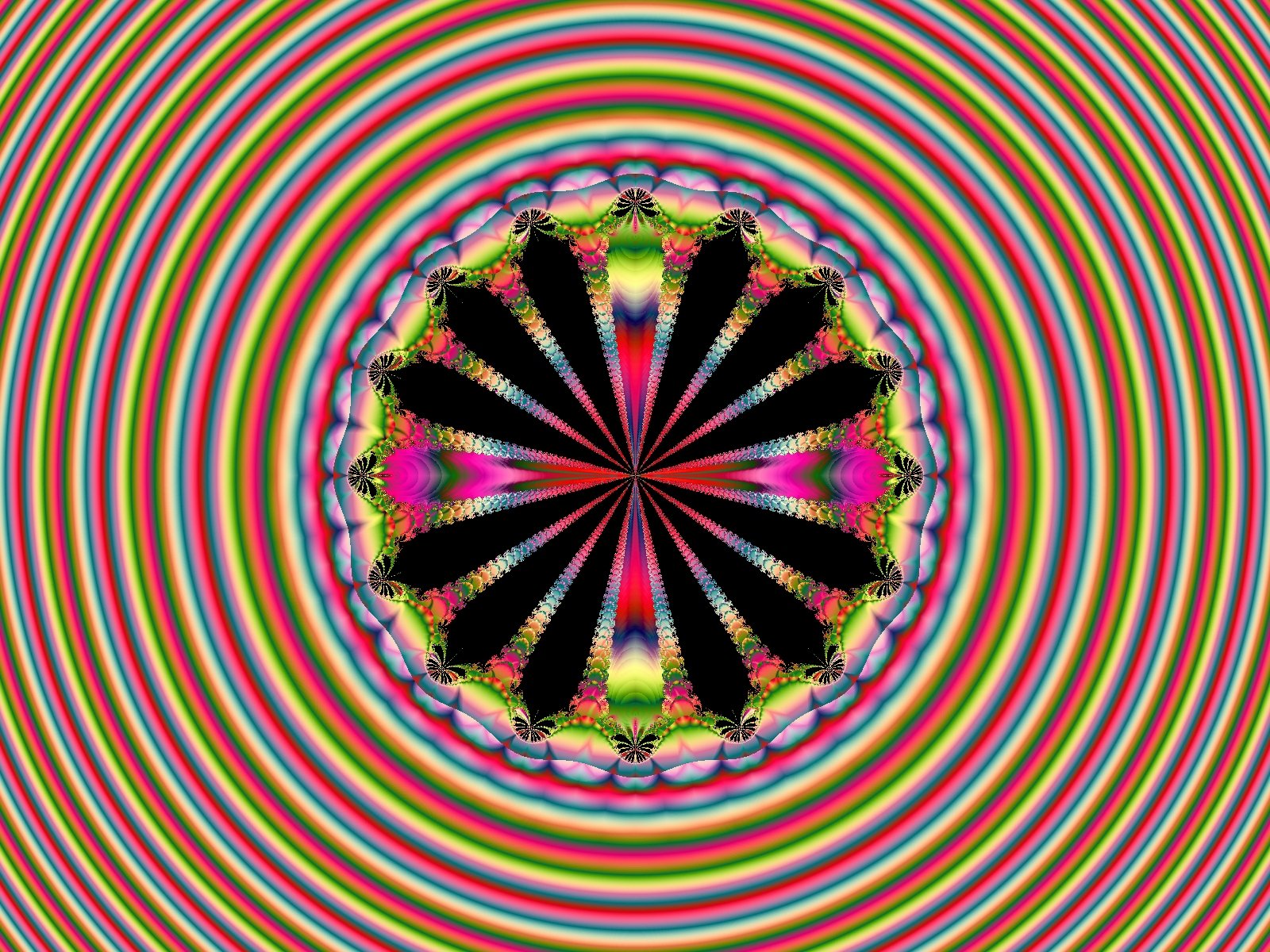 Mit einem Klick auf das Fraktal-Bild wird die Seite wieder geschlossen!