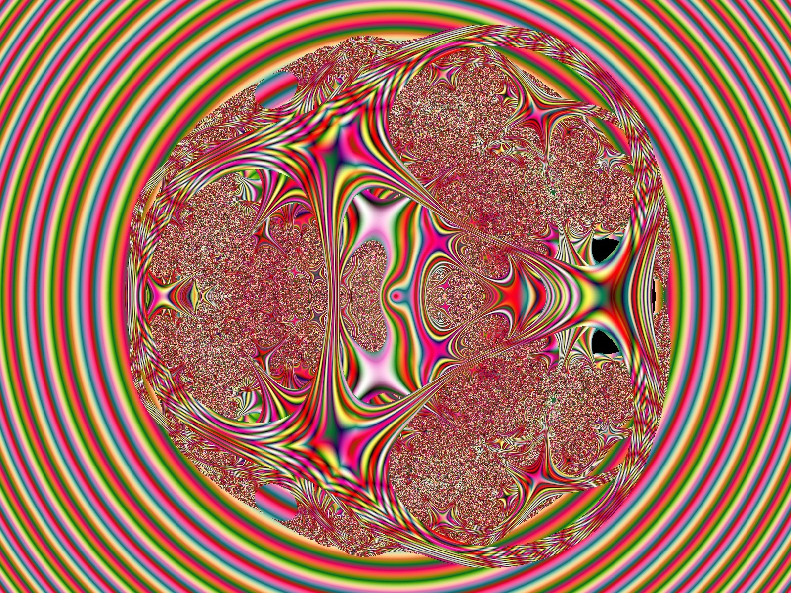 Mit einem Klick auf das Fraktal-Bild wird die Seite wieder geschlossen!