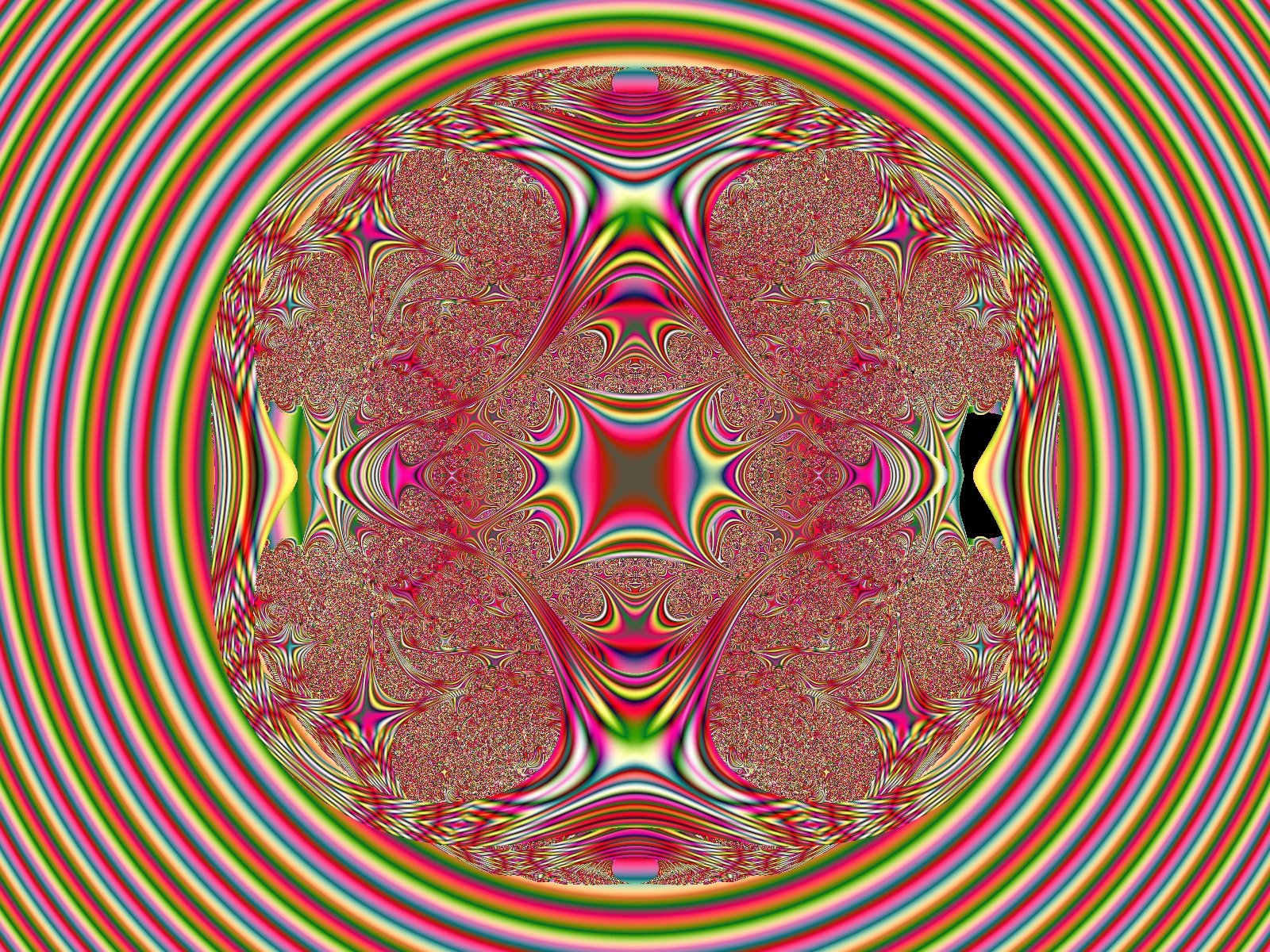 Mit einem Klick auf das Fraktal-Bild wird die Seite wieder geschlossen!