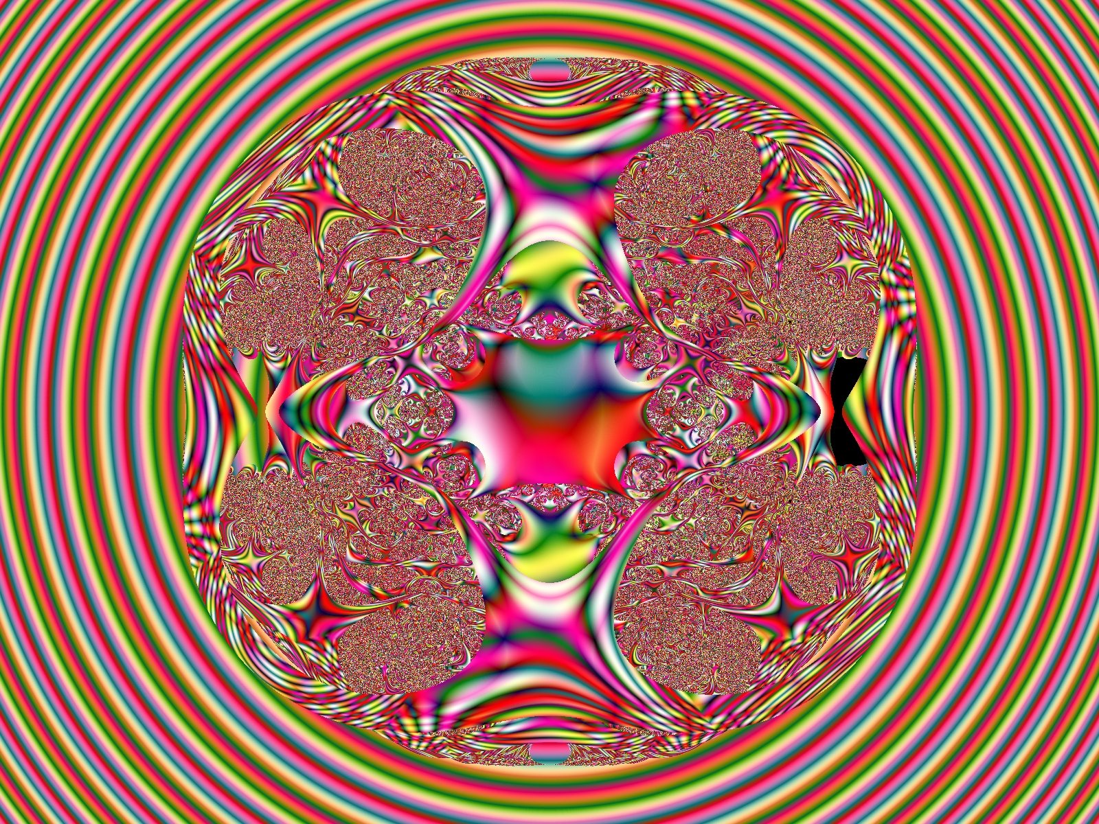 Mit einem Klick auf das Fraktal-Bild wird die Seite wieder geschlossen!