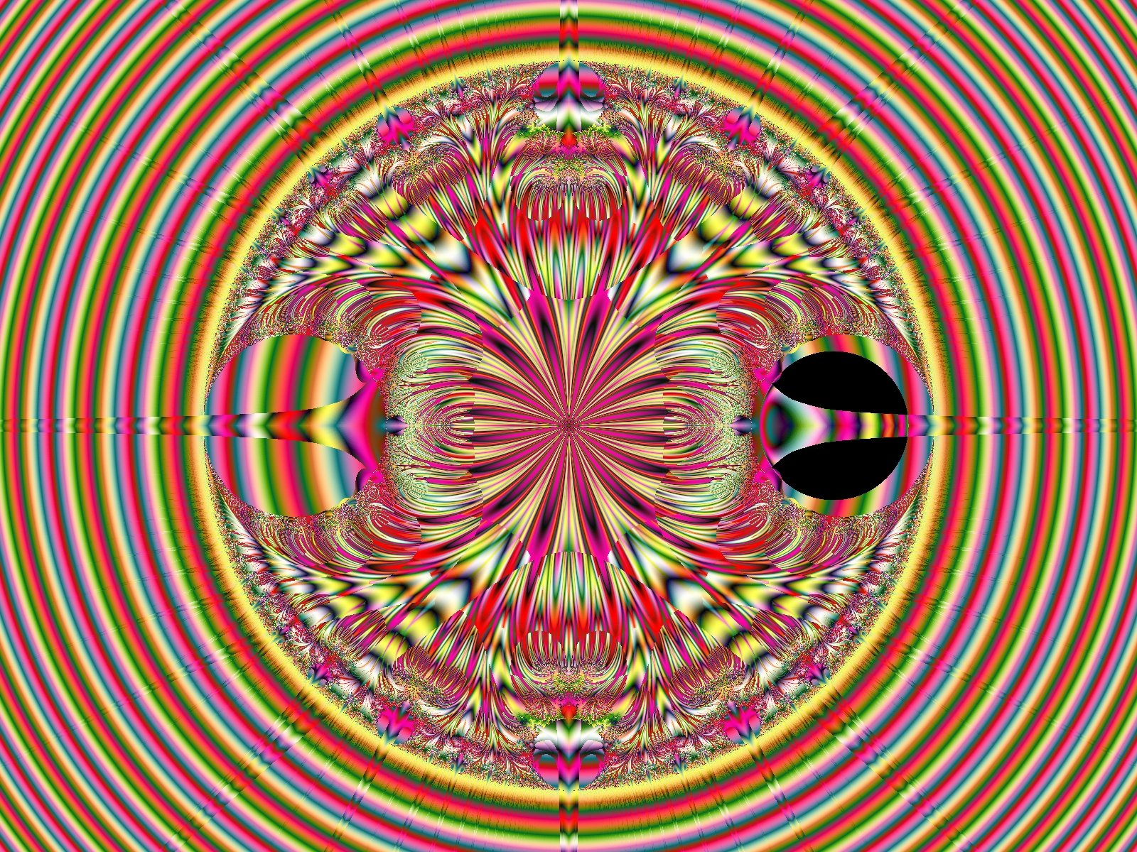 Mit einem Klick auf das Fraktal-Bild wird die Seite wieder geschlossen!