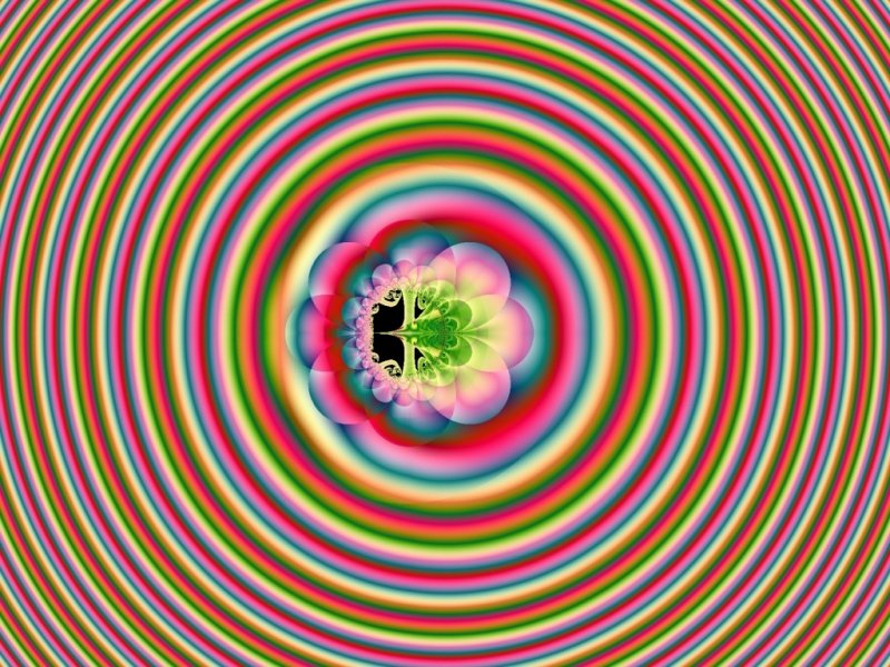 Mit einem Klick auf das Fraktal-Bild wird die Seite wieder geschlossen!